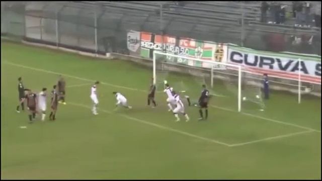 CLIP DE SILVESTRO 3 17