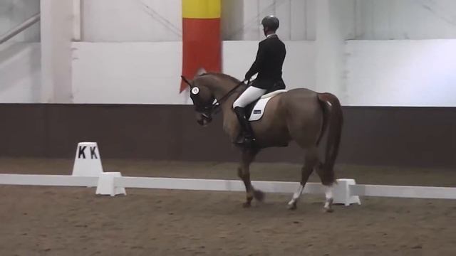 Addington Jan 2017 KC Medium 75