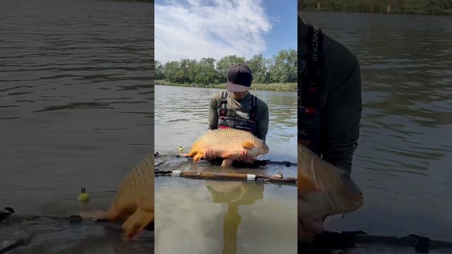 0a3cd578cf97c1b81fdd89706a03c6f6