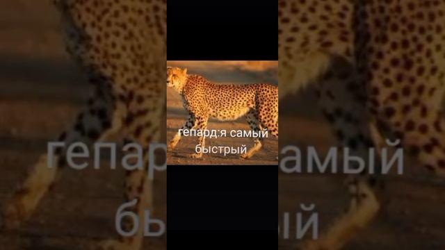 я хс чо писать