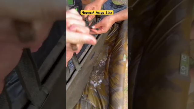 4e888add56515cc21546df6533b62ce1