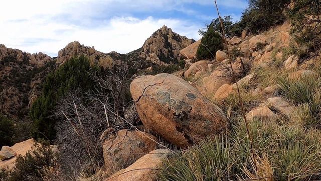 A457c1b4194a2211411a678d111a4cb9