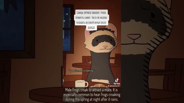 82a7f93653fe2431596ef99b353fde09