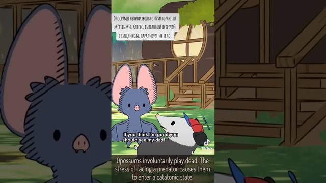 B5d4a082845dc11f07e5f81bb3ab706c