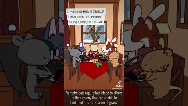 F565a5e841a581044bd93f866fd1ba6d