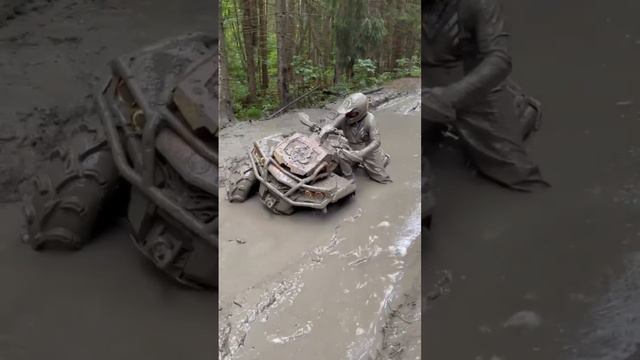 Как думаешь какого цвета экип и квадрик?