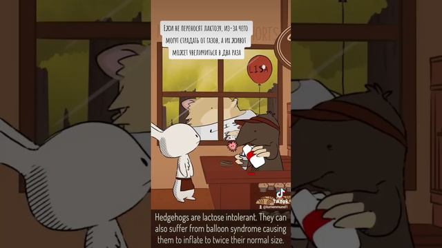 Efa1766e410c73d75e652e8446c546eb