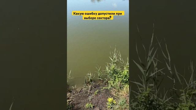 286a793e2f1eacbe9964c73b53802d1d