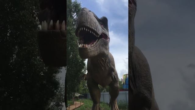 68211a2a3c8a380c26bb04548e85d421