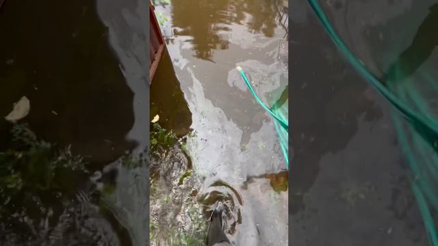 0ddf0a72c1e2ae3b2053eb96e3dc8ddd