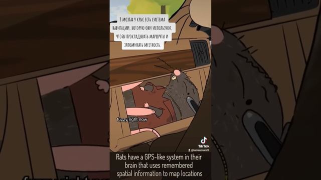 B7187e672295175b1a9a5f15418de100