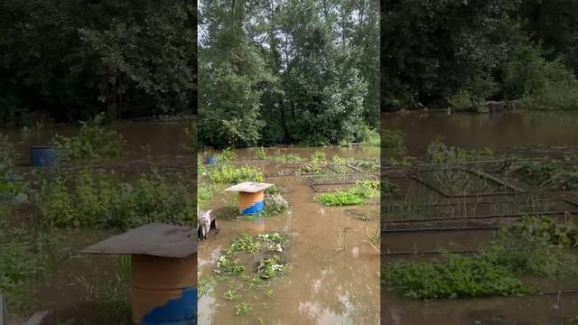 F1d4618b79bc55d96a5dcf9d49052109