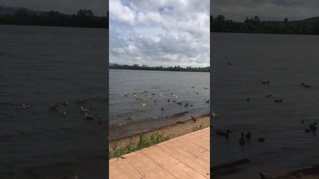 C4a0d93e2c3b8c303f9694ca357a4a32