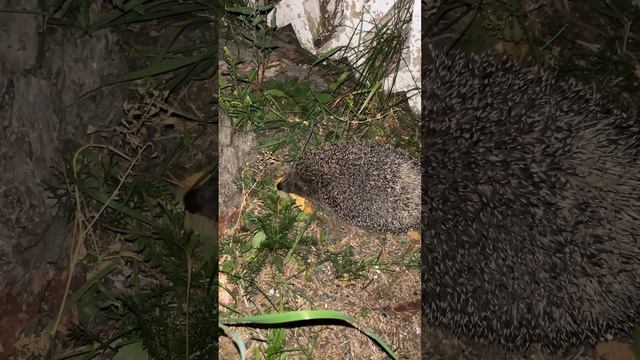 Ea677be91d9a6bd1d4129d49d0c5d7c7