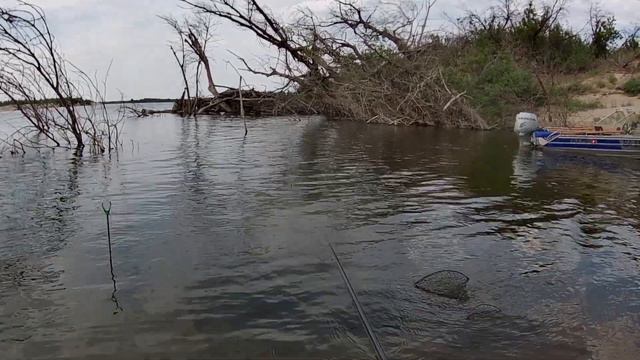 Aaf3b8519561fda5cae2658c06df5ad6