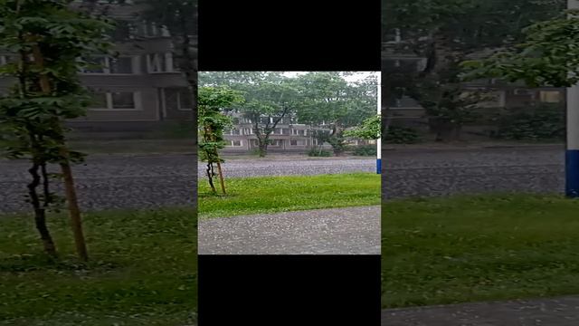 Амурская обл.г.Благовещенск.mp4