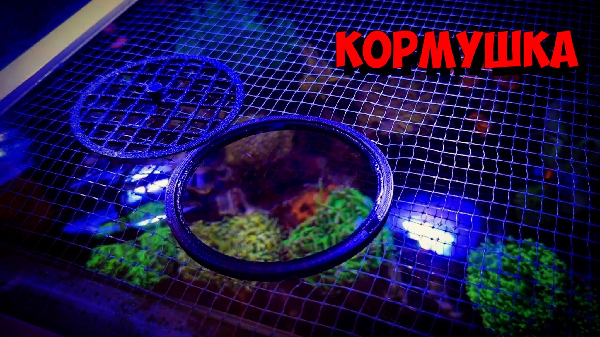 Кормушка в покрывную сетку | Морской аквариум