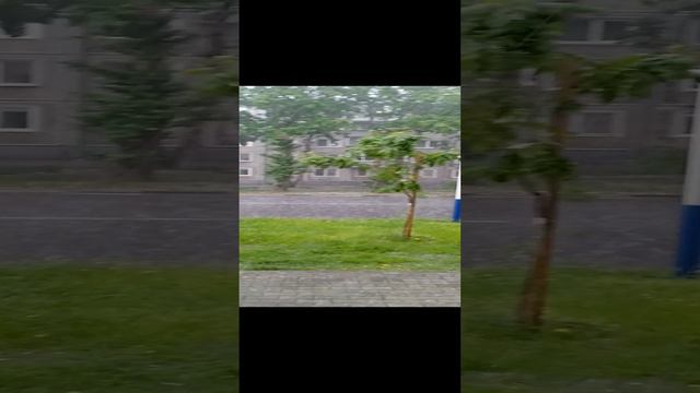 Амурская обл.г.Благовещенск.mp4