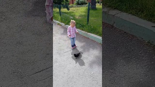 89af79226632b7c1bc29ee714fbddcdd