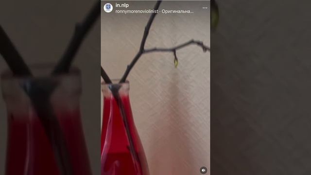Весна на Загородном