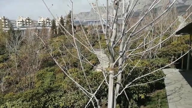 ялта, отдых