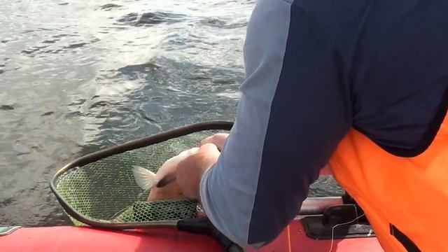 A53230b3fe2c36b85e4012bd8b73b881