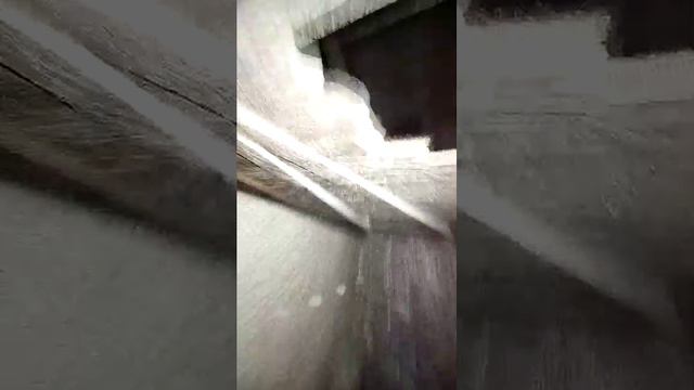 9b5ef6e46946a78beb1ce3b510ba5dee