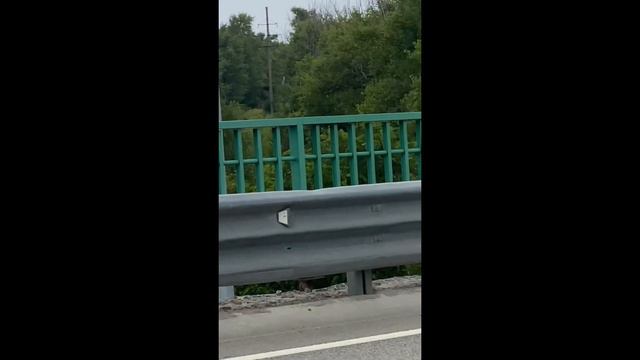 037c7bf1cf9f283715a4372250e98cdb