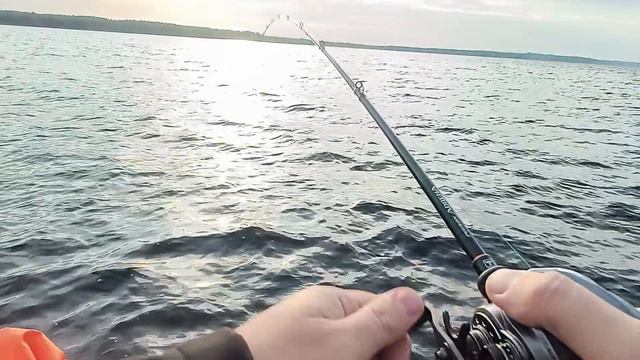 Shimano Poison Adrena как она держит рыбу