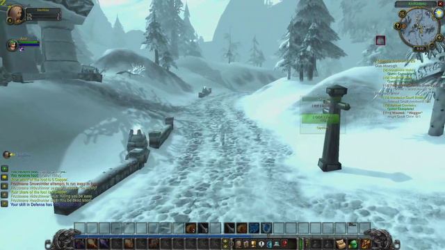 WOW Classic Leveling On A PvP Server