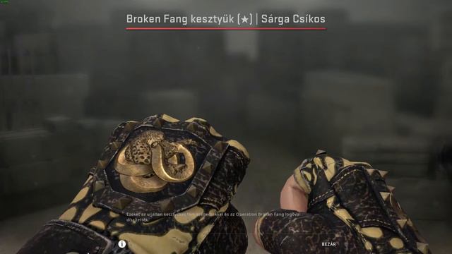  CS:GO Broken Fang Glove  Yellow banded Well-Worn - Showcase Unboxing Review