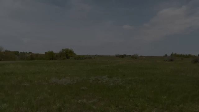 Обзор камуфляжа 1, Russian Camouflage (березка, желтый дубок, сс-лето/партизан)