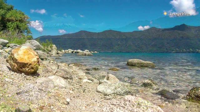 E14ce02f19856c5281924c4c4b709fd8