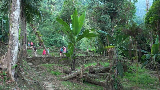 4661bab5c280a9e52cfb9e6d664dd28c