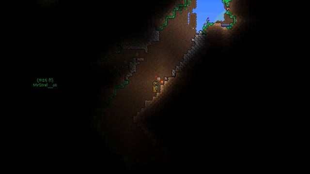 Terraria путешествие по миру