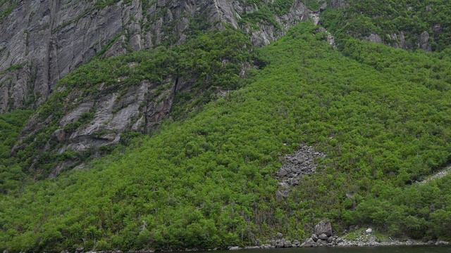 D2c3c3ce38dcdde39d6a1db1d8e51f8a