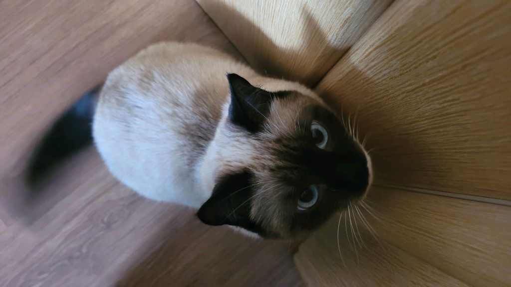 64de7596eacc4eef623611b92c5bcda3