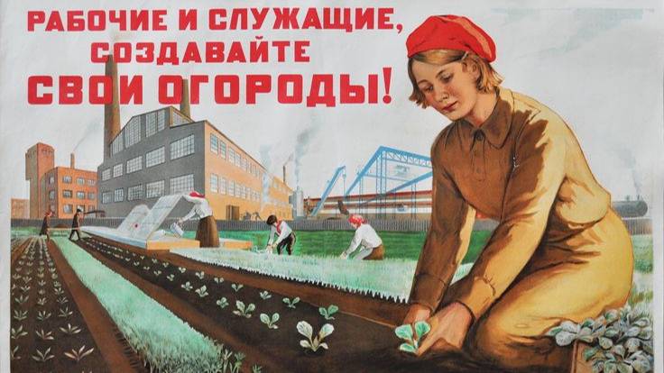 Лицо У Дачи  к закрытию сезона!