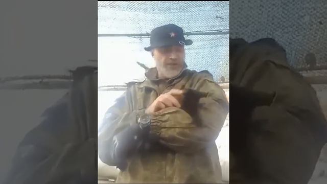 Что такое ВОЙНА