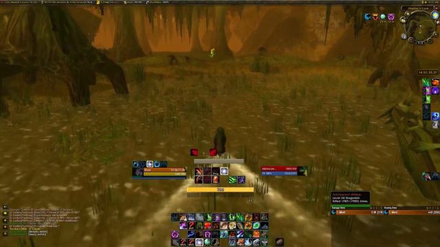 Journey To The Dragon Pets Of Azeroth