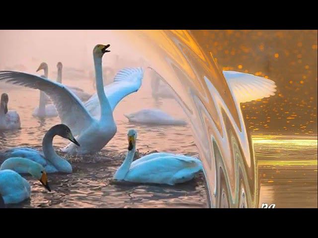 69f6f52105e38842192d629fa7837acb