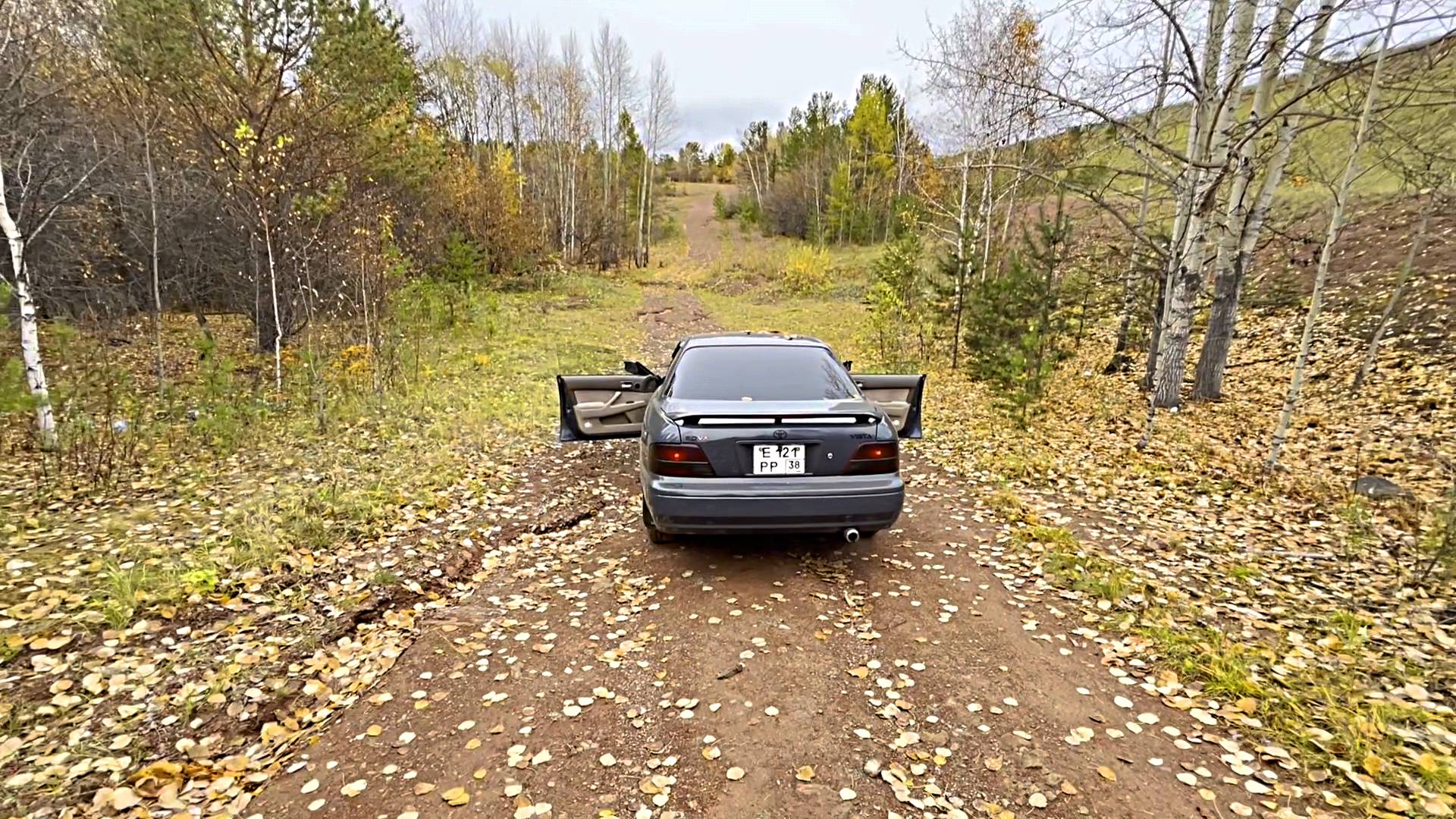 DL AUDIO GRYPHONE PRO NEO 165, прослушка.