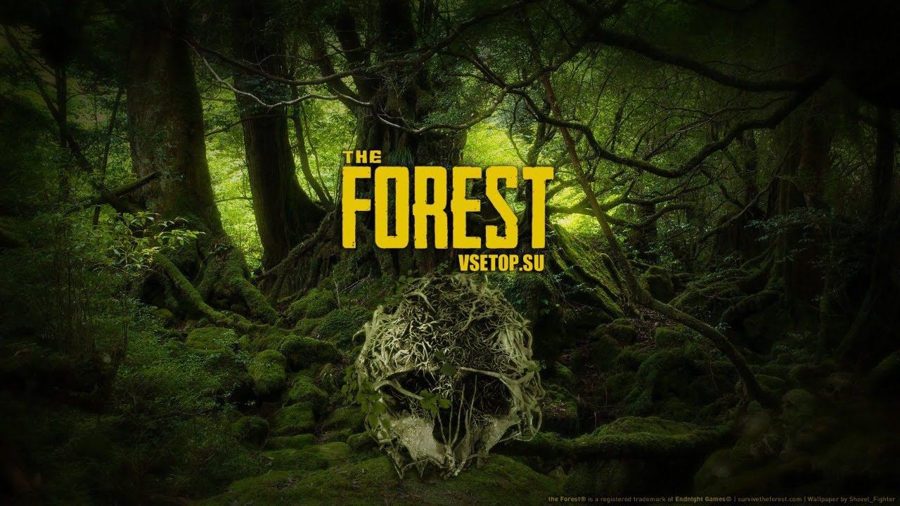 ForestКС_Go
