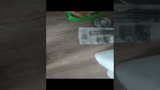 Почему на Персика нападают