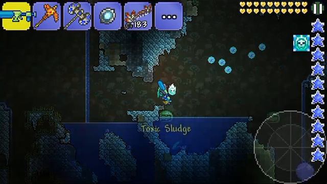 013fe86aa306c11b75eebd59cdeaa0ef