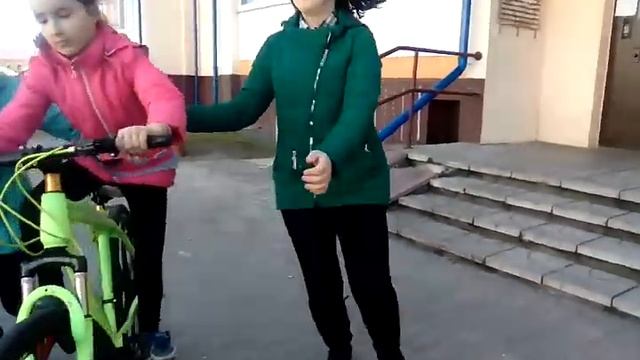 Cheerful Toy Wonderland