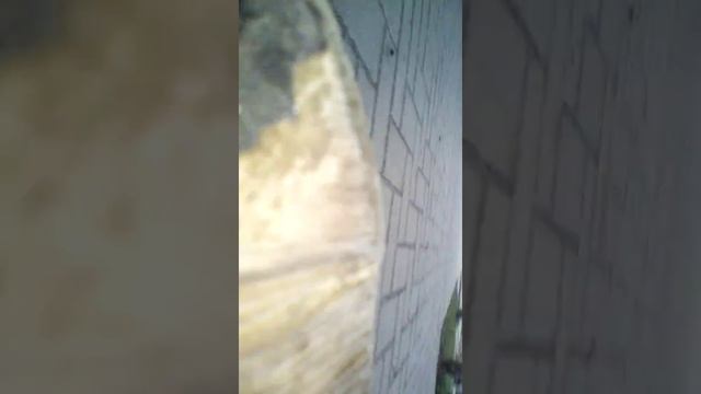 VLOG катаю на скейте