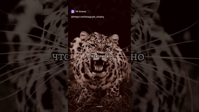 делай🤝 не возможное для других людей 👥