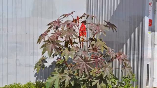 30012641f0175e52428b43c1306f64cd