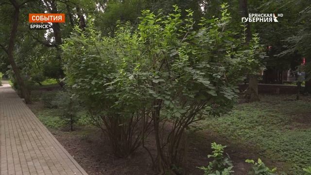 Депутат Госдумы Николай Валуев посетил ботанический сад в Брянске